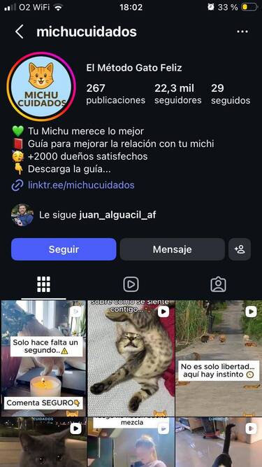 Cuenta viral gatitos alumno Partner 360
